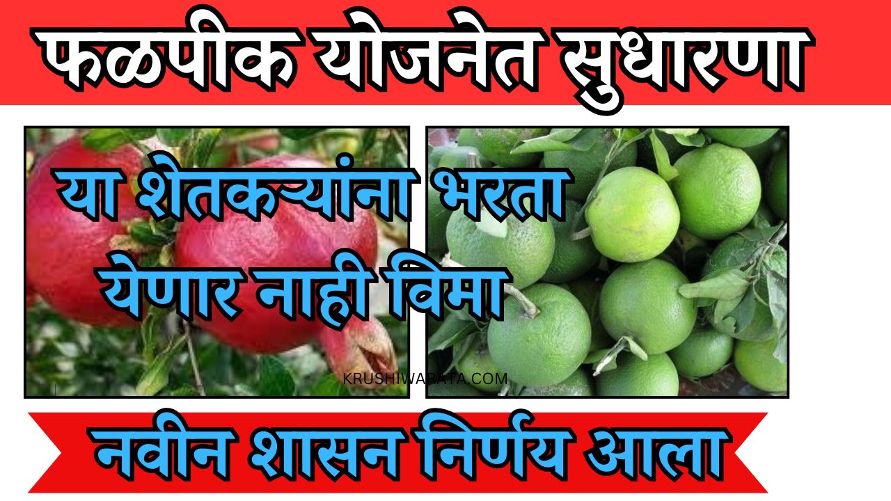 crop insurance maharashtra