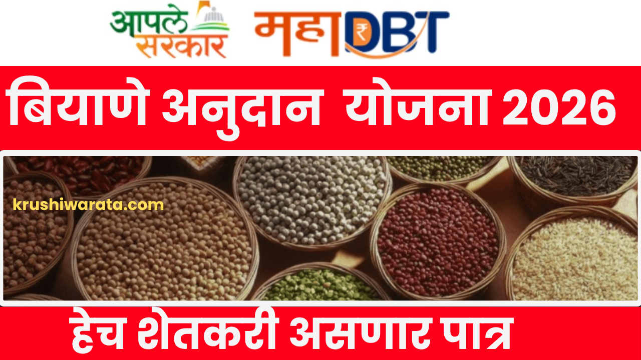 अनुदानावर मिळणार खरीप हंगामासाठी बियाणे